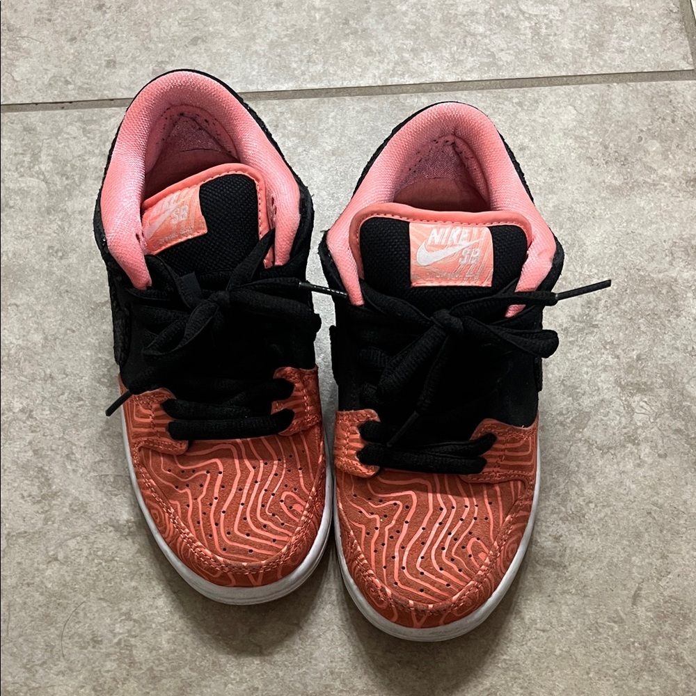 Nike SB Dunk Low Premier Fish Ladder